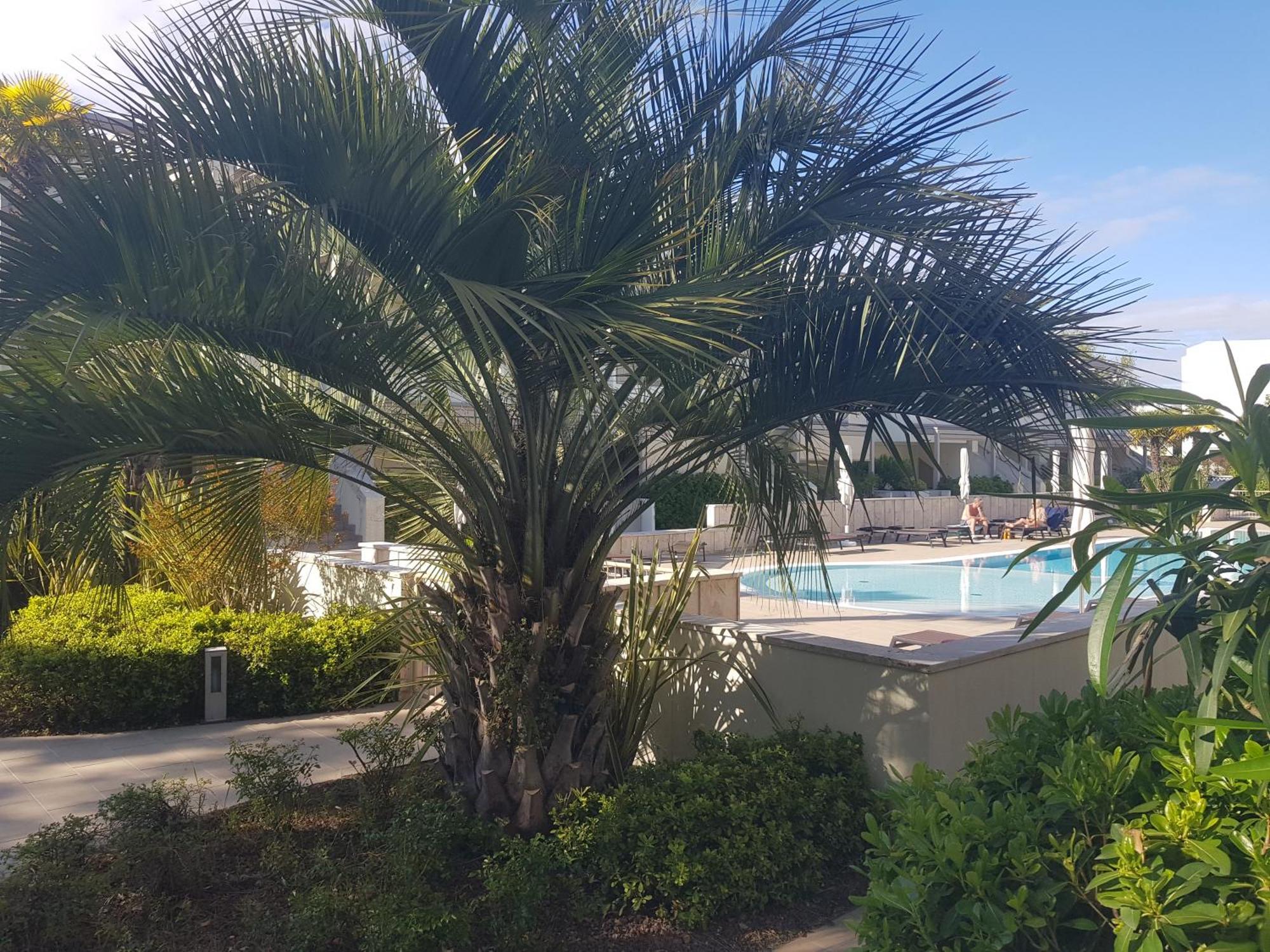 Residence Jesolo Lido Centro Con Piscina Buitenkant foto